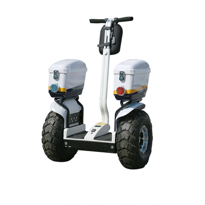 off Road Electric Chariot Balance Scooter off-Road Cart with Handle Bar Electric Patrol Scooter