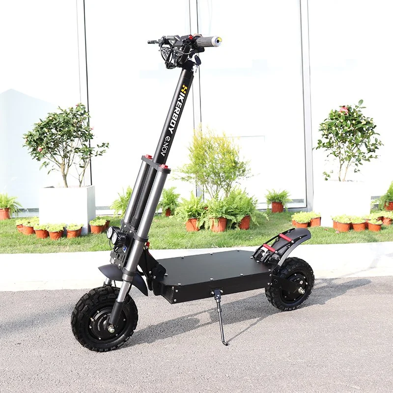 CE Electric Mobility Motor 3600W Adult Balancing Citycoco Electric Motorcycle Scooter