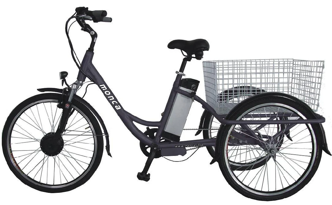 Family E-Bikes E-Bicycle Electric Bike Scooter Motorcycle 250W 36V Li-Battery Samsung Sony Brand