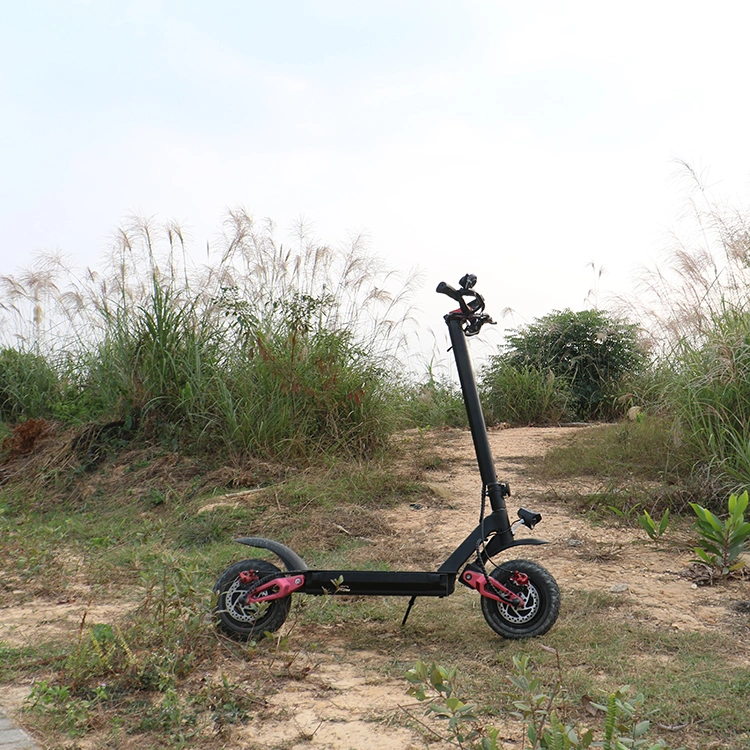 New 11 Inch off-Road Electric Scooter for Sale, 2 Wheels Stand Electric Scooter