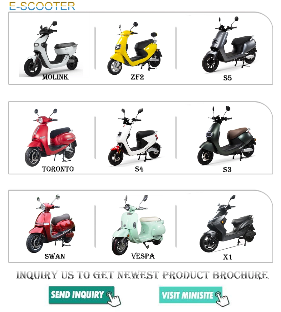 2021 New Design EEC/Coc 4000W Powerful Q1 2 Seats Adult Electric Scooter