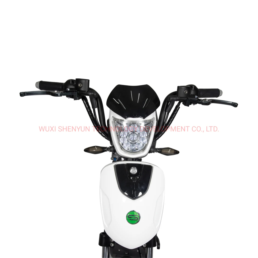 Hot Sell and Powerful Electric Scooter Electric Motorcycle with EEC Lithium Battery/Lead Acid 800W Brushless DC Motor 40km/H