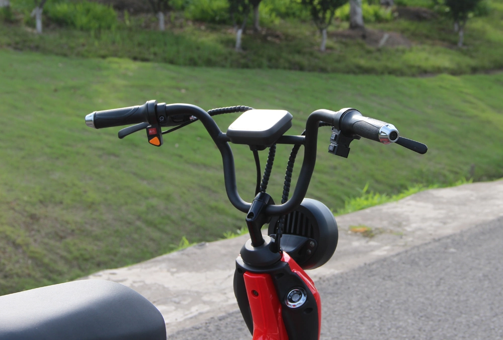 Battery Removable Electric Bike Scooter Wholesale