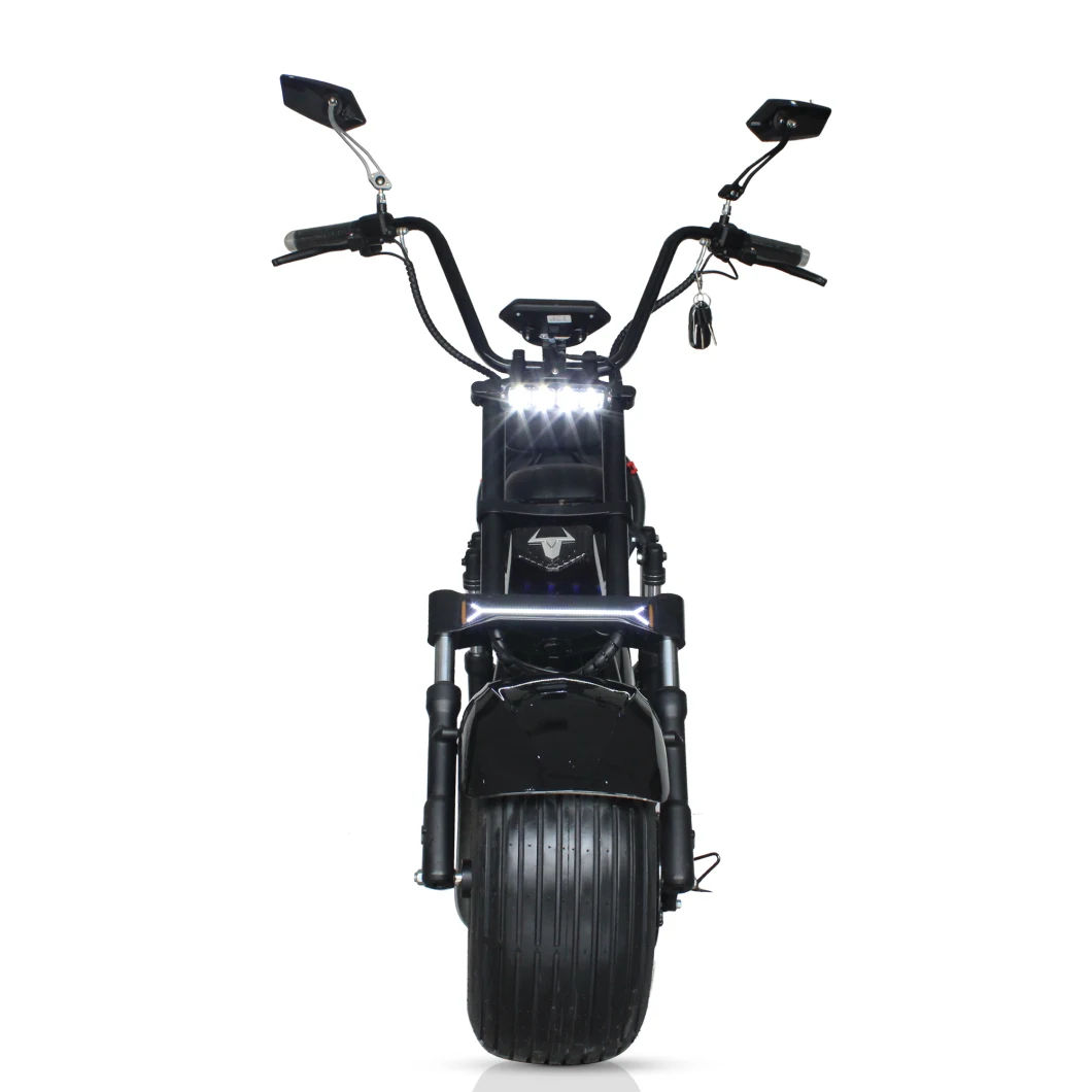 EEC Coc Approved 1500W 2000W Powerful Motorcycle Electric Citycoco Scooters for Adult