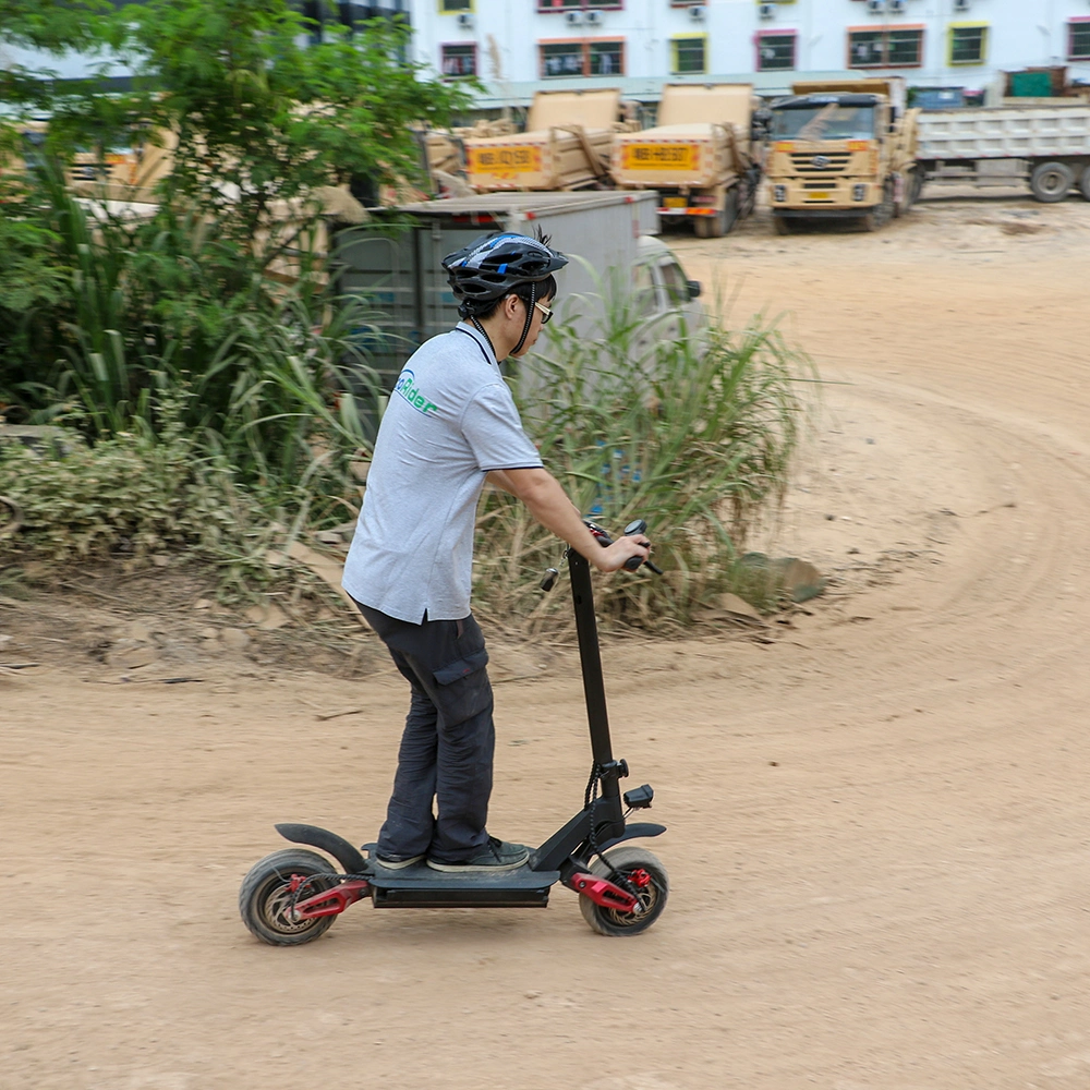 Portable 10-Inch Dual Motor Electric Scooter 1000W 2000W, Electrical Scooters