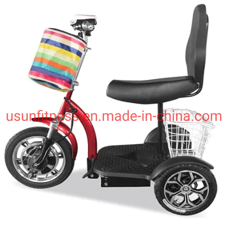 3 Wheels Mobility Adult Scooter Self-Balancing Electric Scooters
