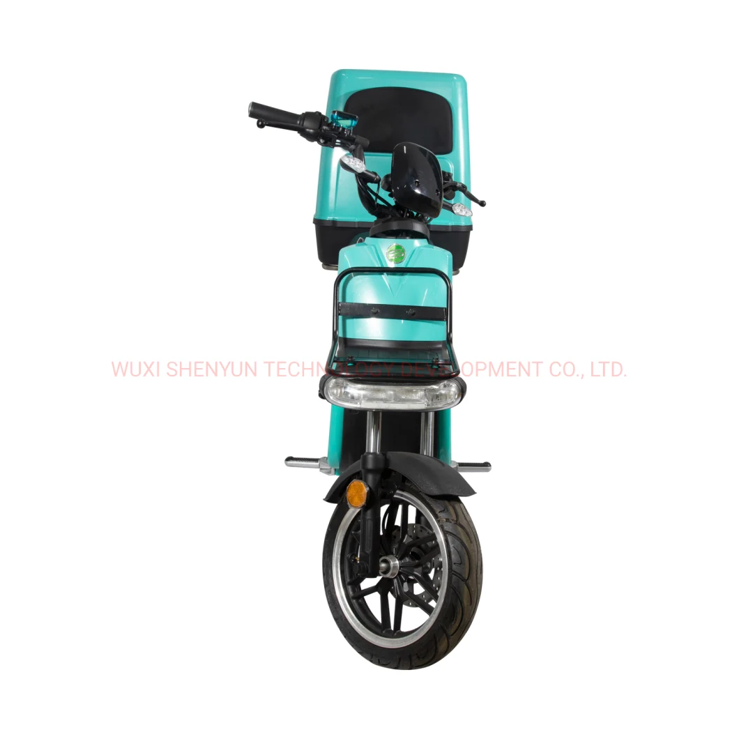 Hot Sell High Quality and Powerful Electric Scooter Electric Motorcycle with EEC