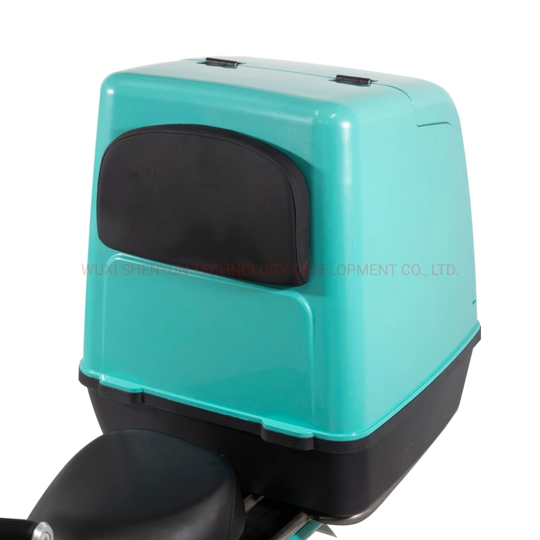 Hot Sell High Quality and Powerful Electric Scooter Electric Motorcycle with EEC