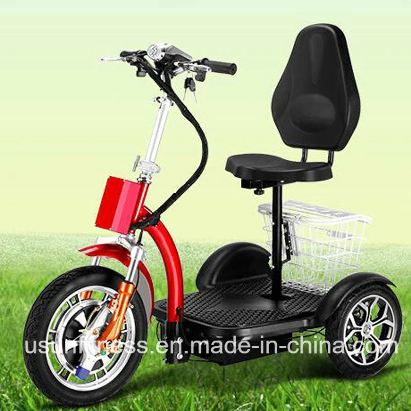 3 Wheels Mobility Adult Scooter Self-Balancing Electric Scooters