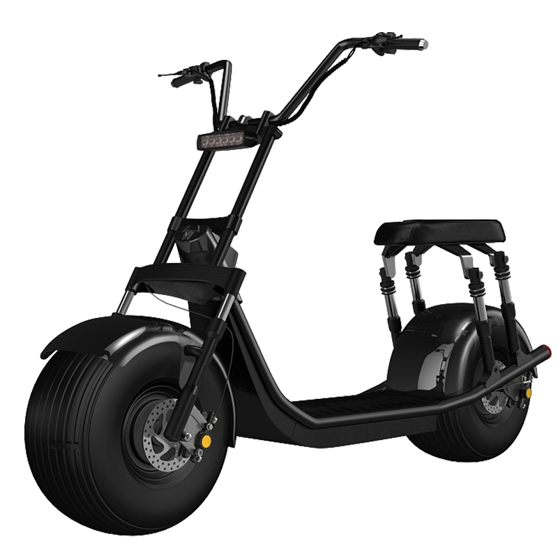 1500W/2000W 2 Wheel Offroad Electric Scooter