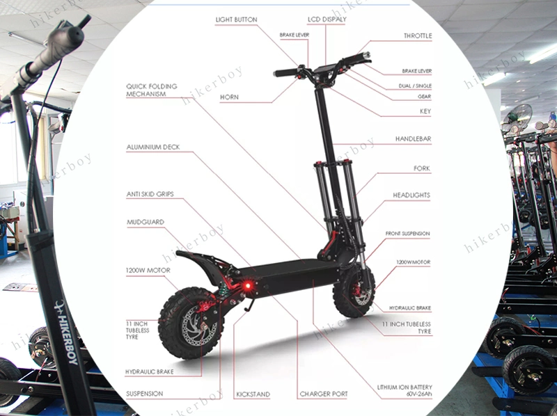 CE Electric Mobility Motor 3600W Adult Balancing Citycoco Electric Motorcycle Scooter