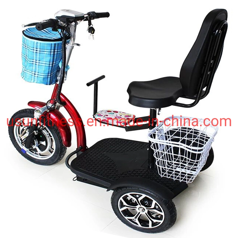 3 Wheels Mobility Adult Scooter Self-Balancing Electric Scooters