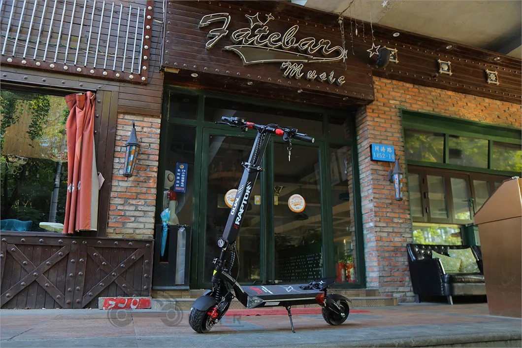 Dual Motor Scooter Electric Scooters Li-Battery 52V