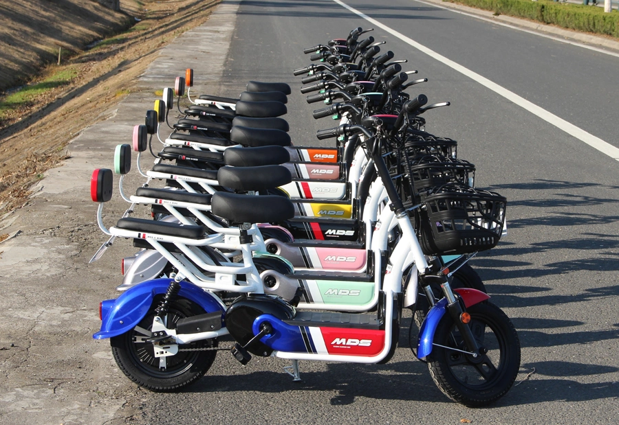 China Pedal Assistant Electric Scooter Supplier