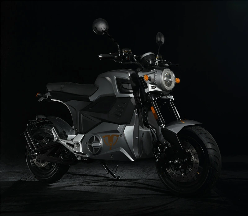 4000W MID Dvive Electric Motorcycle 80-100km/H EEC Coc Approved Fast Electric Scooter