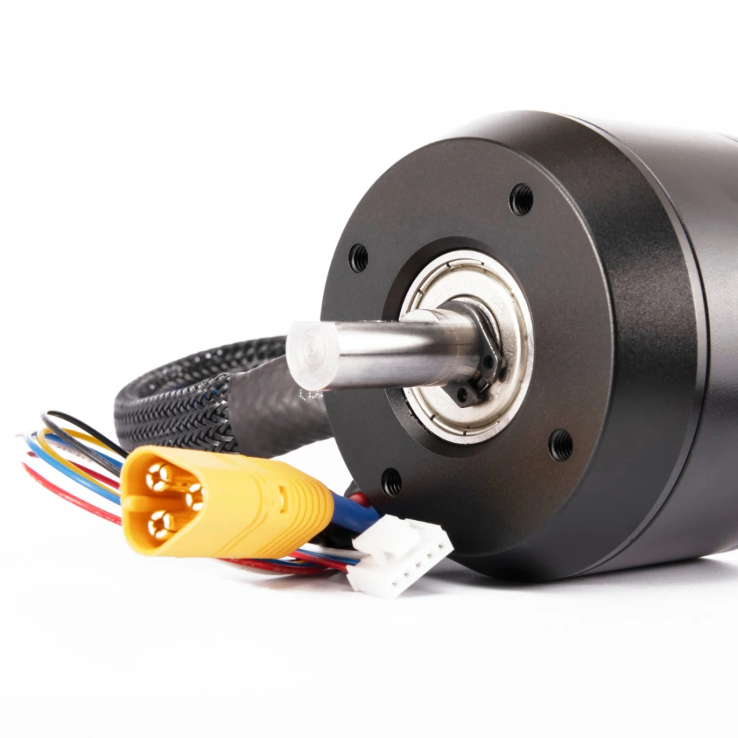 Long Lasting Life 160kv Brushless DC Electric Scooter Motor for Electric Bicycle Scooter Car