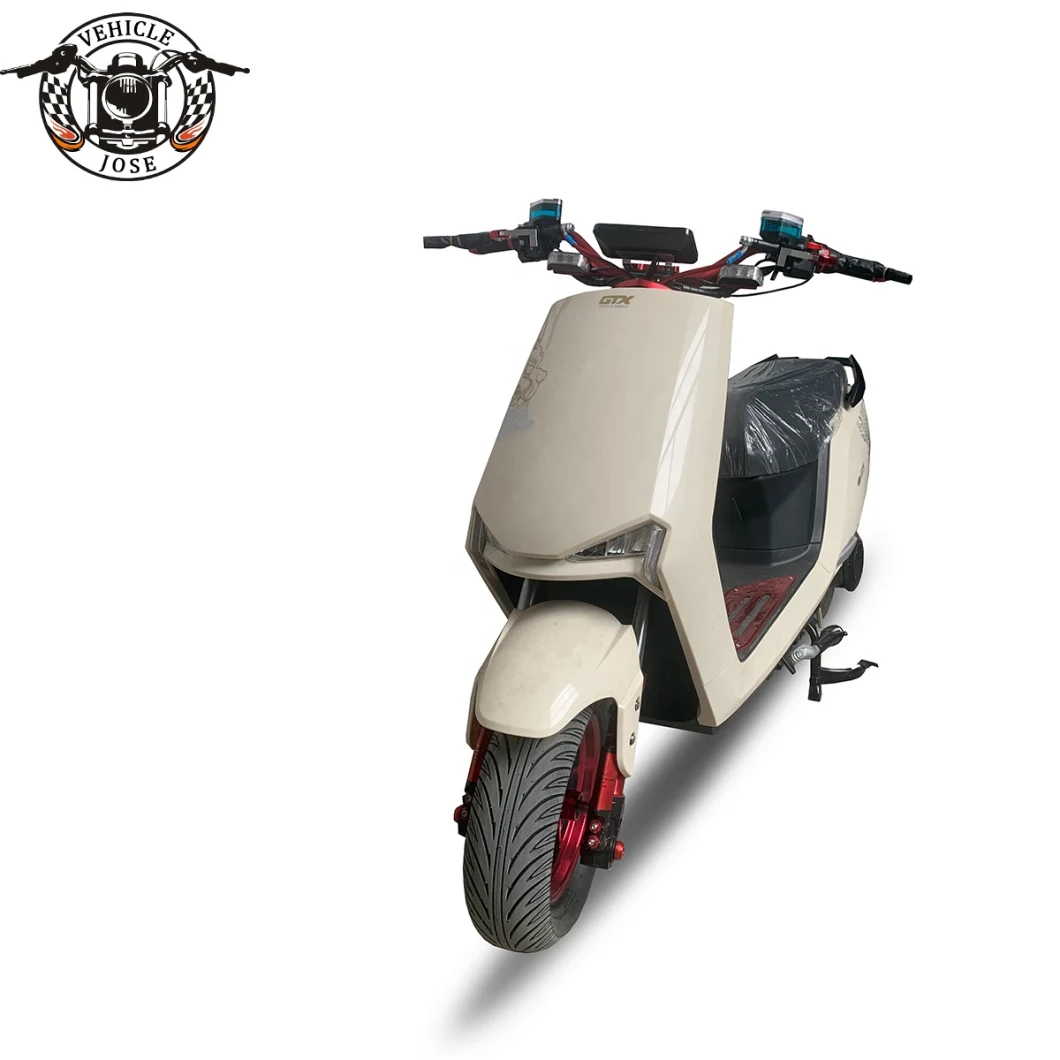 New Scooter 2 Wheels Electric Motorbike with Big Seat Charge Motorcycle 1000W