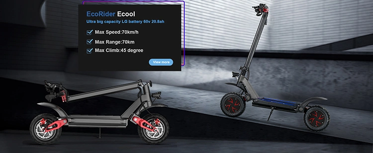 Adult 2 Wheels Dual Motor Electrical Scooter 3600W Electric Scooter