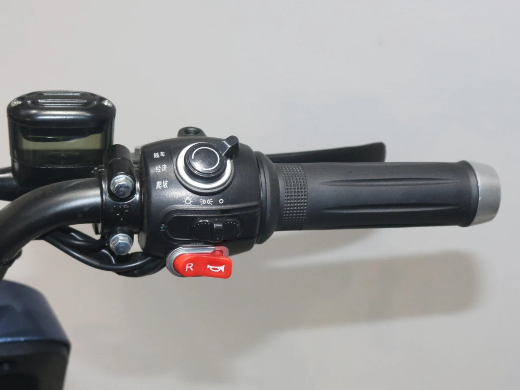 Classic Hot Sell 60V Electric Scooter Electric Bike
