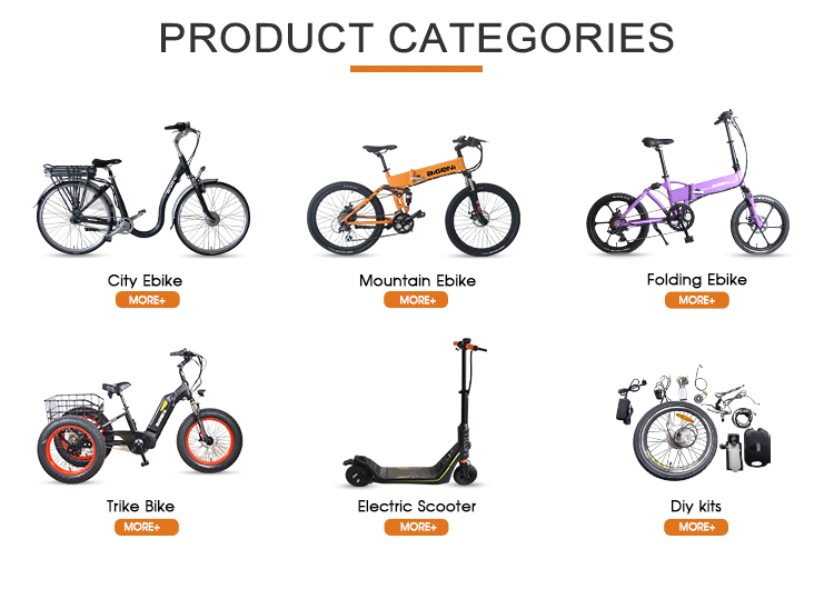 20 Inch Electric Bike Snow Beach Fat Tire Folding Electric Bike with 350W Rear Motor Ebike