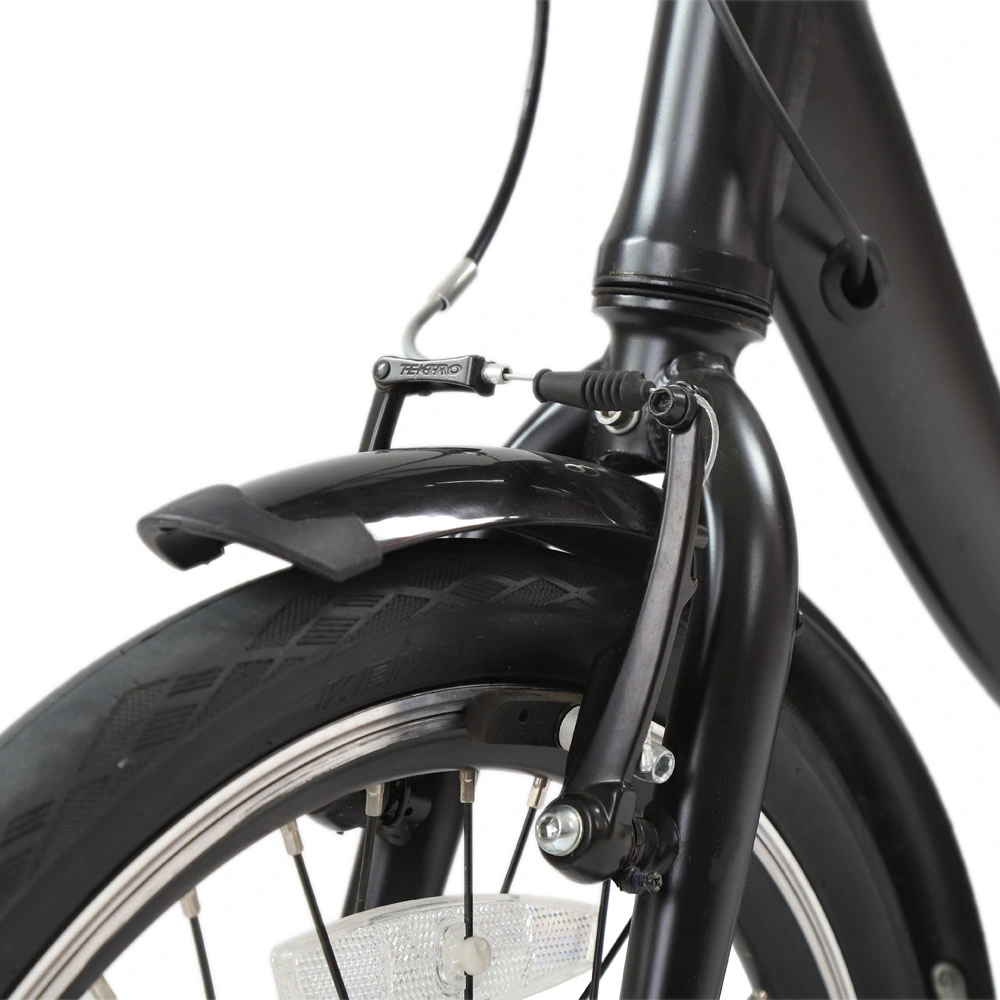 Folding Electric Bike 20