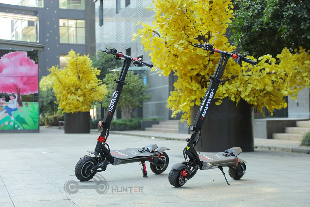 1600W E Scooter Foldable Electric Scooters 8 Inch Wide Tyre Mobility Scooter Citycoco Scooter Balancing Scooter