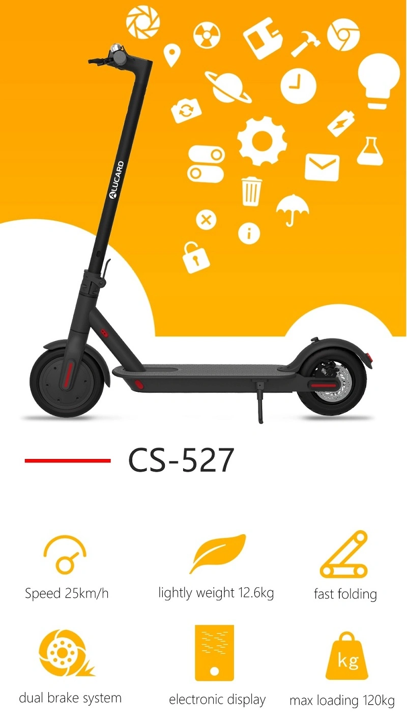 Powerful Electric Motorcycle 2021 Scooter 250W Motor Electric Mobility Scooters Folding EU Stock