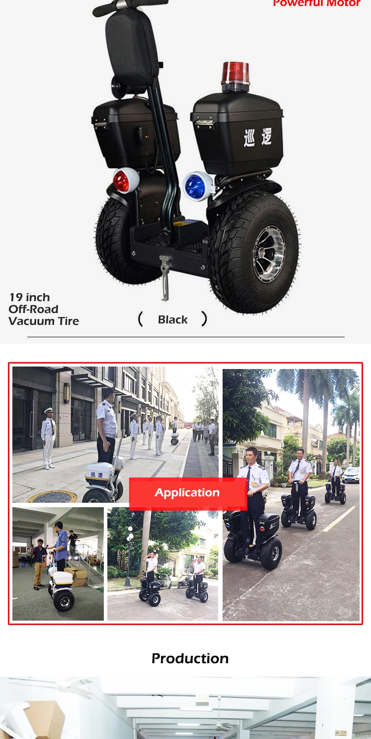 off Road Electric Chariot Balance Scooter off-Road Cart with Handle Bar Electric Patrol Scooter