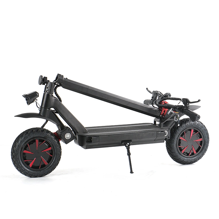 Ecorider 10inch Fat Wheel 60V Electric Scooter 3600W E4-9 with Dual Motor Swing Scooter