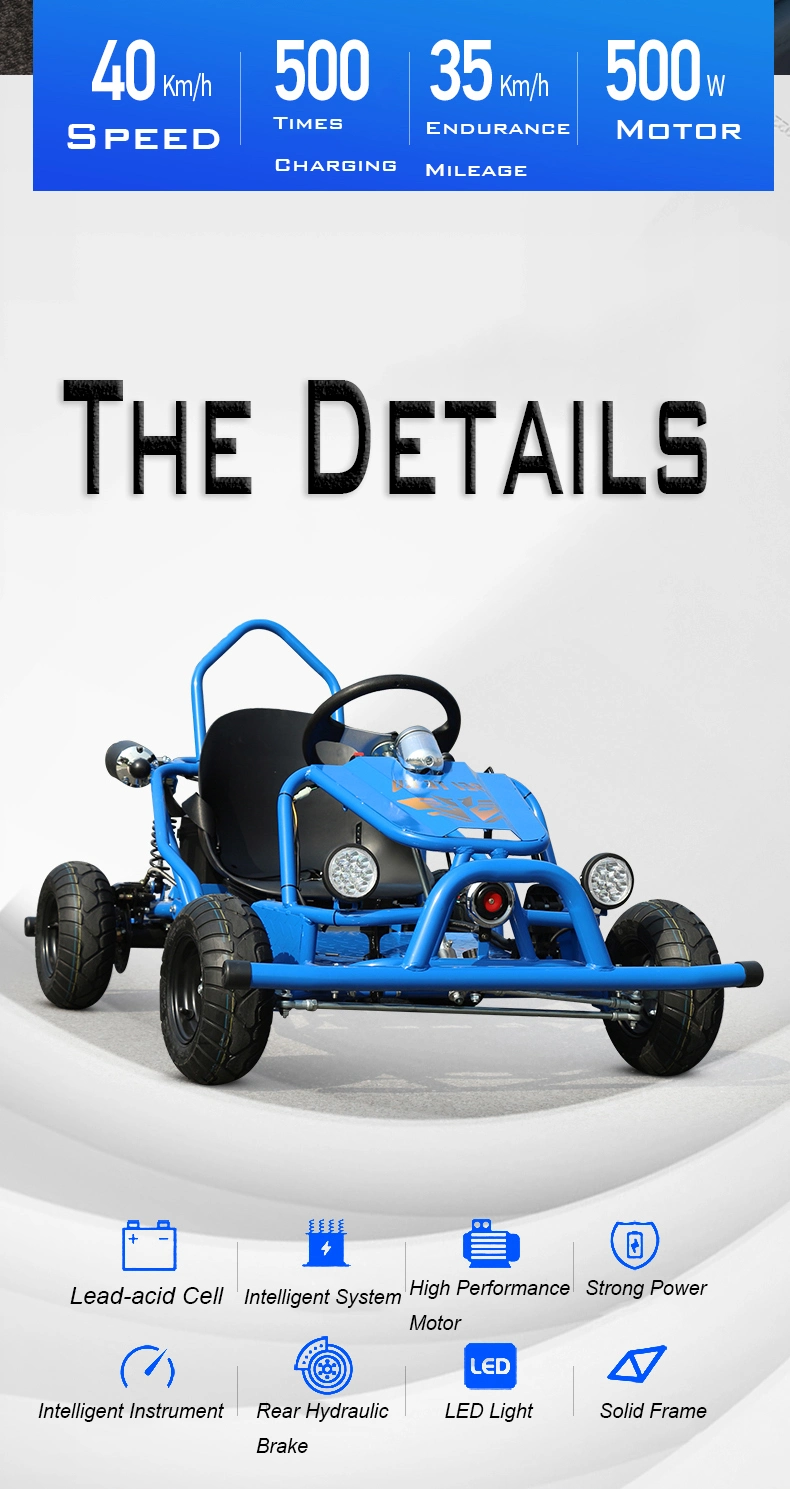 2 Seat Buggy Go Karts for Adults Electric