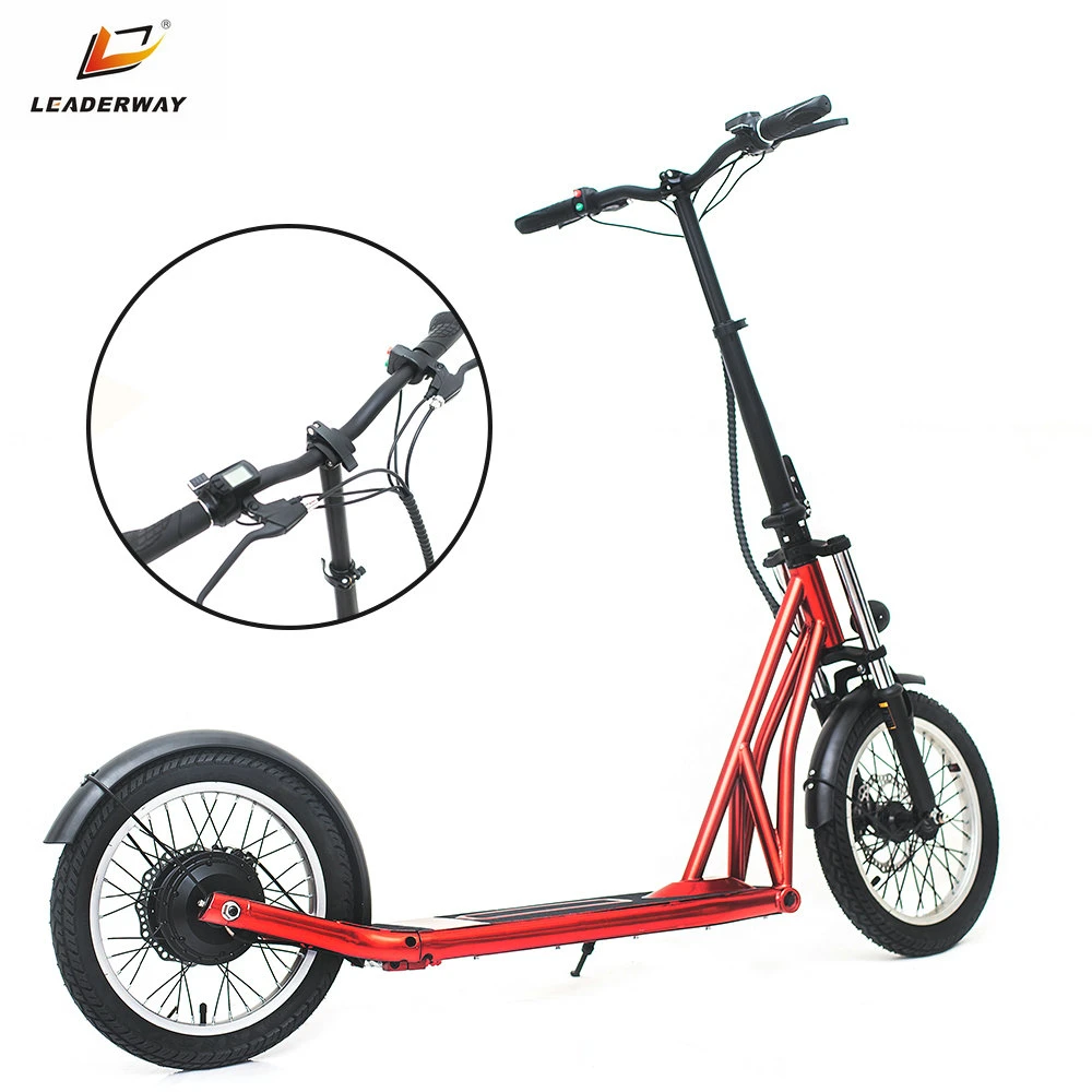 Folding Electric Scooter Classic Motor Electric Scooter 48V 350W E-Bike with Dual Disc Brake System