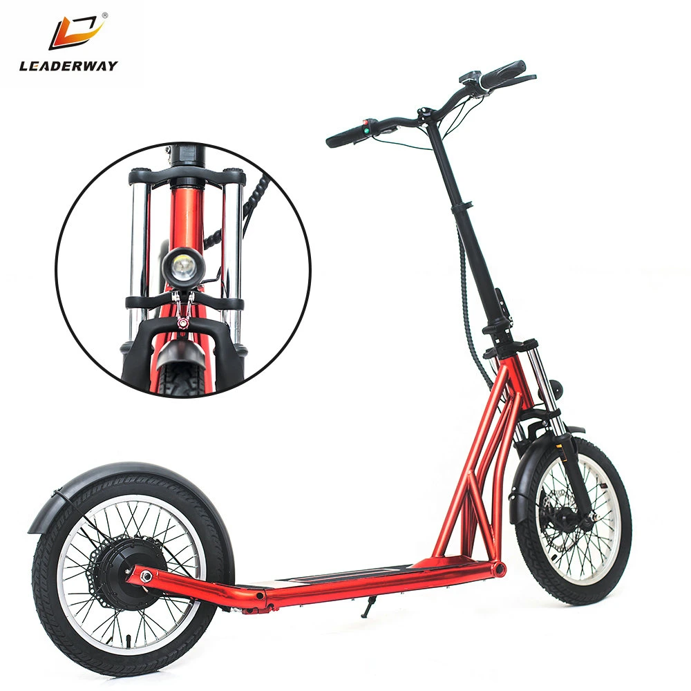 Folding Electric Scooter Classic Motor Electric Scooter 48V 350W E-Bike with Dual Disc Brake System