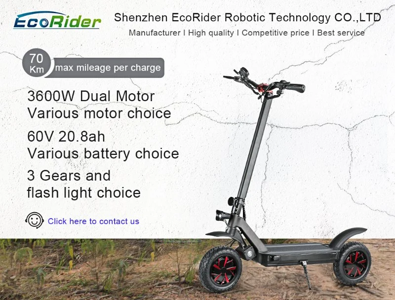 Ecorider E4-9 1000W 2000W 3600W off Road Electric Scooter, Foldable Electric Scooter with Footrest Metal Mudguard