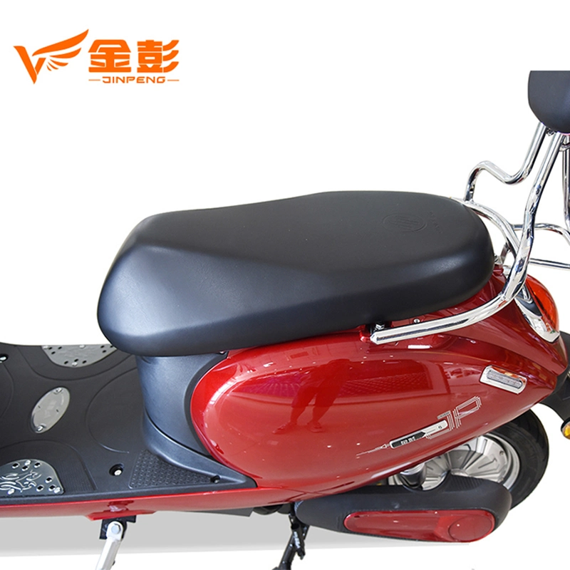 600 Watts Powerful Electric Scooter Motorcycle for Woman