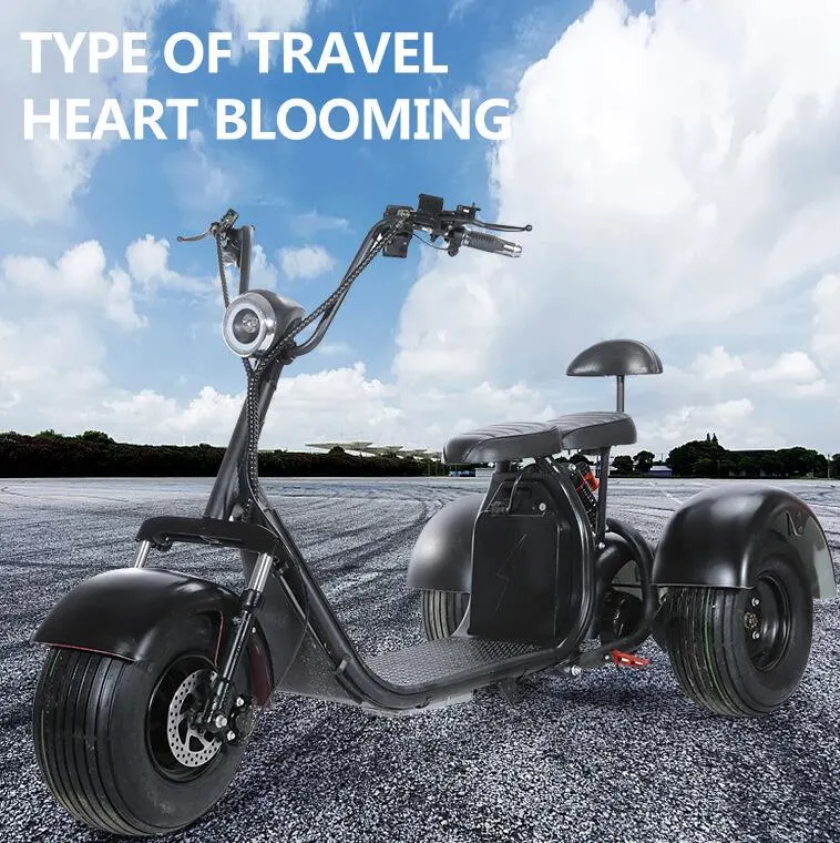 Dual Motor Electric Scooter Electric Adult Scooter 2seats Passenger Electric Motorcycle Scooter 1000W 2000W Coc