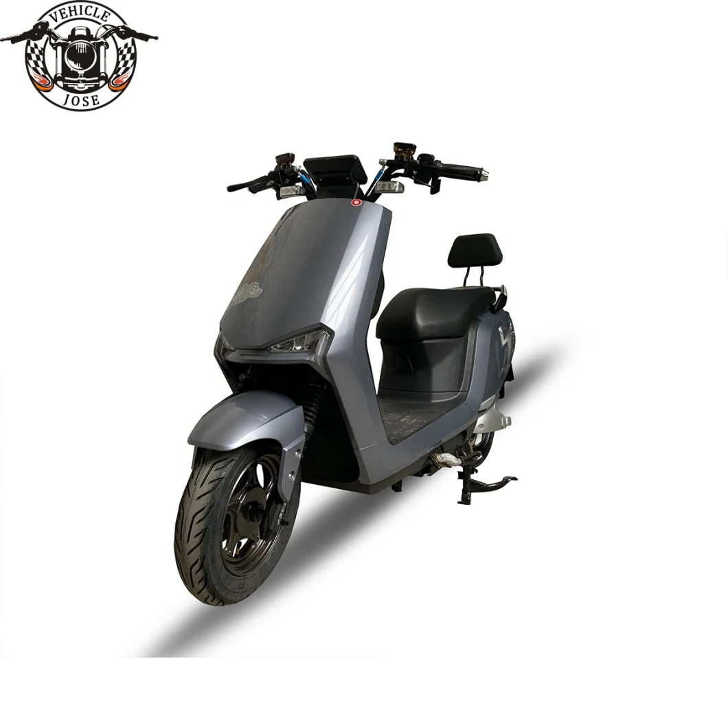 New Scooter 2 Wheels Electric Motorbike with Big Seat Charge Motorcycle 1000W