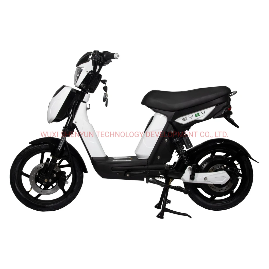 Hot Sell and Powerful Electric Scooter Electric Motorcycle with EEC Lithium Battery/Lead Acid 800W Brushless DC Motor 40km/H