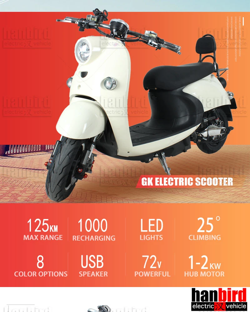 Good Looking Popular Electric Scooter 1000W 1500W 2000W Gk in Stock for Sale