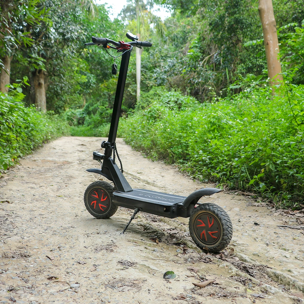 10-Inch Adult Foldable Electric Scooter 3600W Motor Scooter