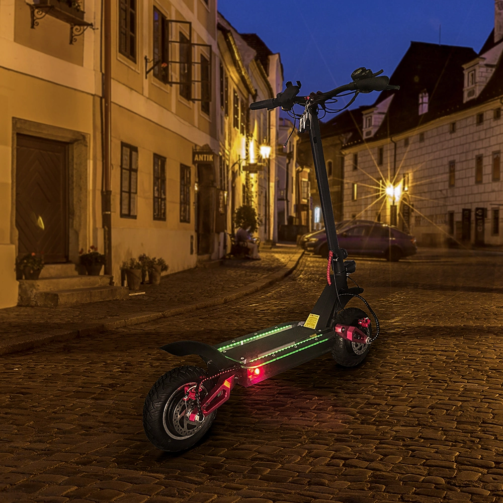 Foldable Two Wheels 48V 1000W Dual Battery Dual Motor off Road Kick Scooter