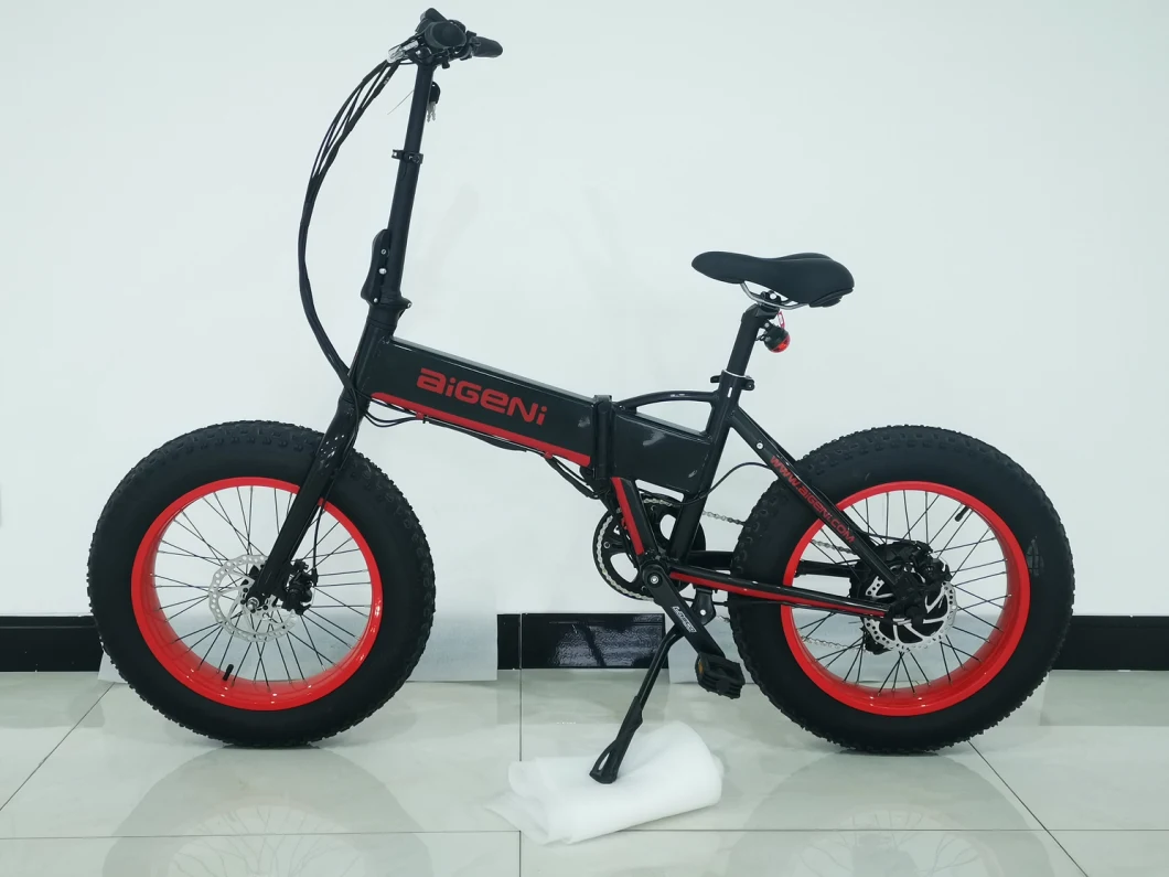 20 Inch Electric Bike Snow Beach Fat Tire Folding Electric Bike with 350W Rear Motor Ebike