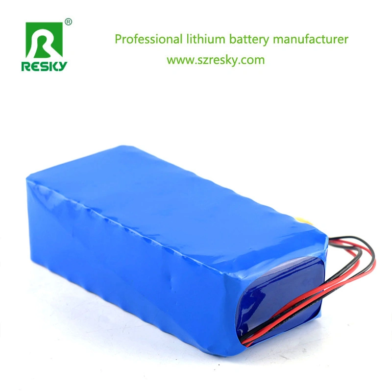 36V 10ah Battery Pack for Electric Bicycle, Electric Motorcycles