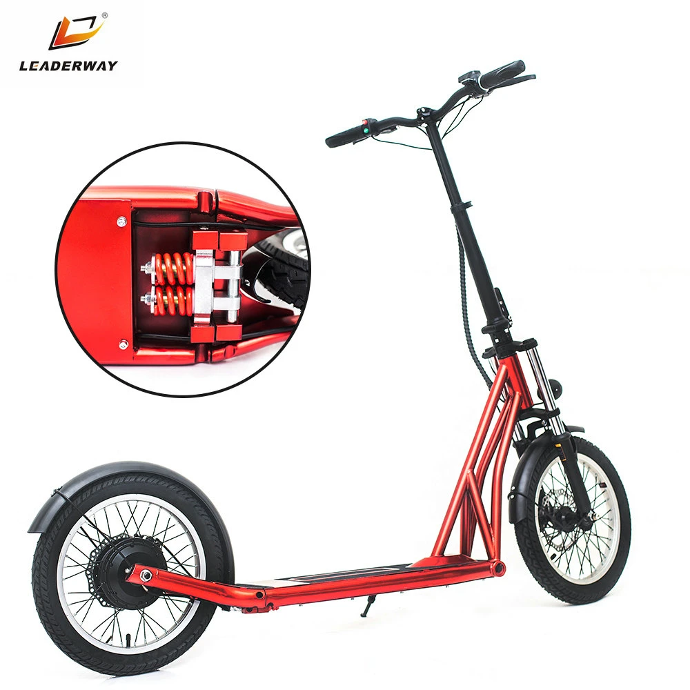 Folding Electric Scooter Classic Motor Electric Scooter 48V 350W E-Bike with Dual Disc Brake System