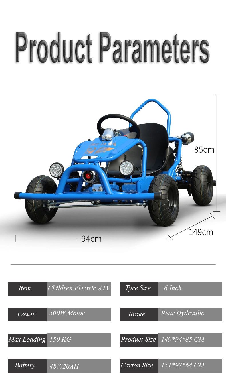 2 Seat Buggy Go Karts for Adults Electric