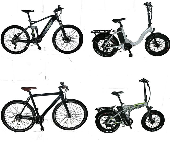 Lithium Battery Folding E Bike/Folding Electric Bike Kit/Mini Bicycle/Foldable Ebike