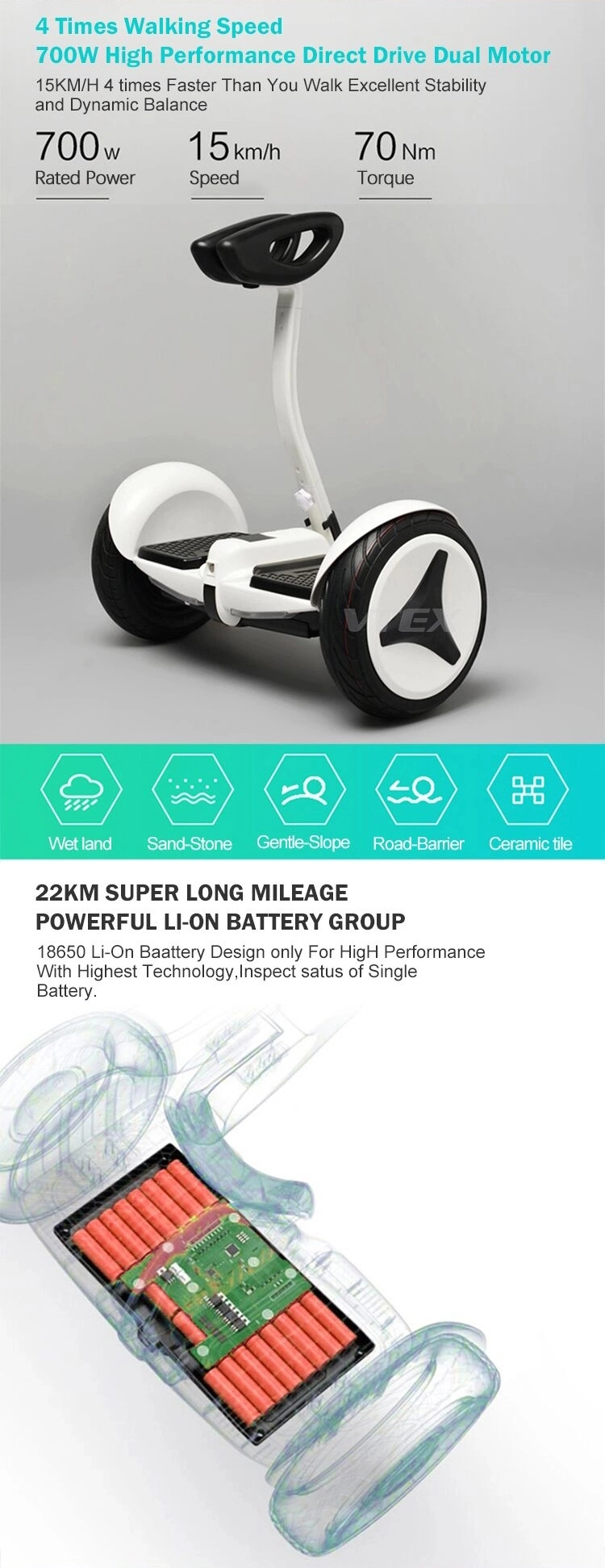 2 Wheel Electric Scooter Balance Car/Self Balancing Scooter
