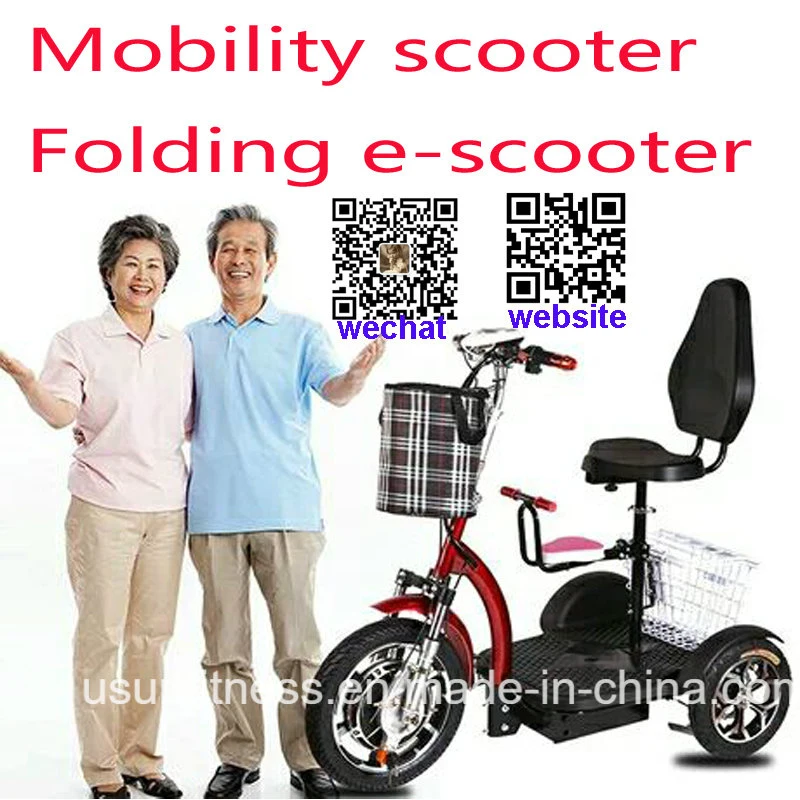 3 Wheels Mobility Adult Scooter Self-Balancing Electric Scooters