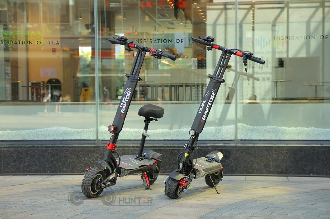 Dual Motor Scooter Electric Scooters Li-Battery 52V
