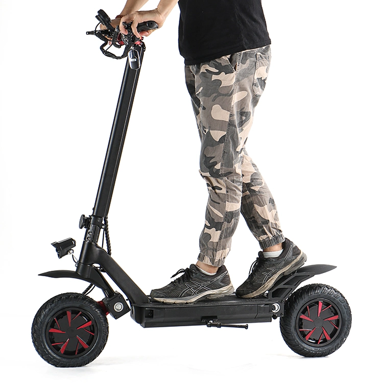 Ecorider 10inch Fat Wheel 60V Electric Scooter 3600W E4-9 with Dual Motor Swing Scooter