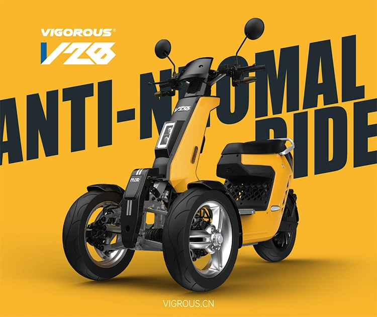 V28 3000 Watts Powerful Adult 3 Wheel Electric Scooters with Mls System